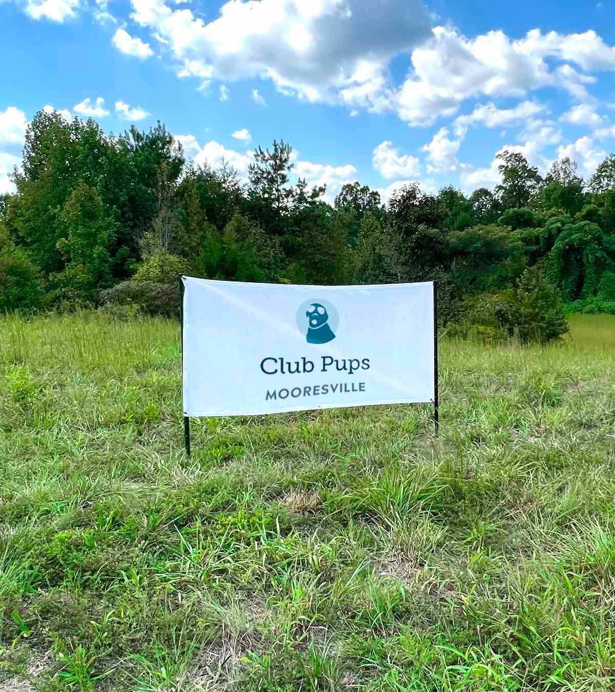 Dog daycare & boarding in Mooresville