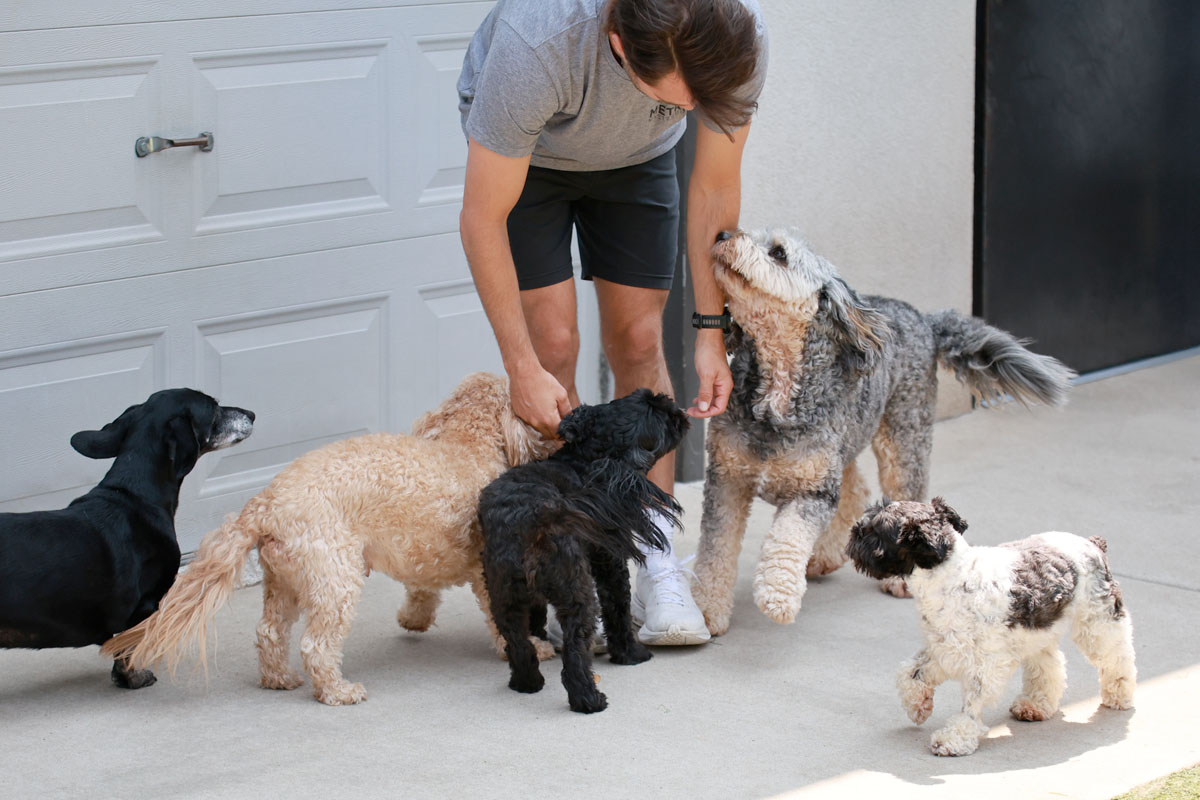 A Club Pups team member surrounded by pups